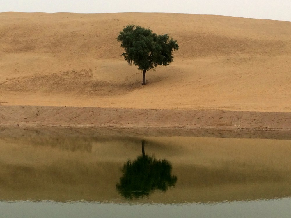 sand dunes Rajasthan